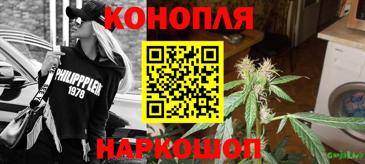 Каннабис план Избербаш